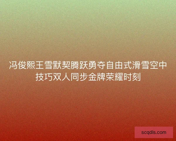 冯俊熙王雪默契腾跃勇夺自由式滑雪空中技巧双人同步金牌荣耀时刻